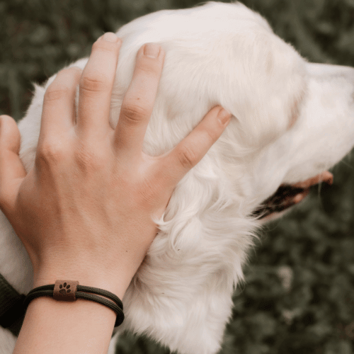 Armband Kona Pfote Holz Nuss Paracord Segeltau Band olivgrün Größe S, M, L mit Schiebeknoten mit Hund