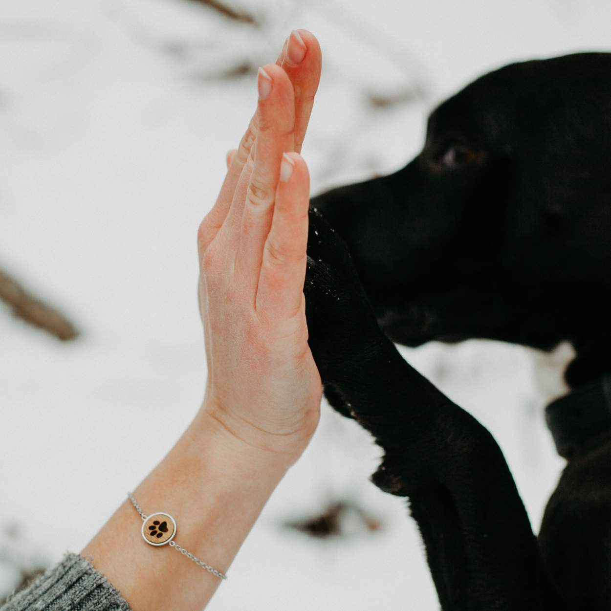 Tierliebe | Armband Skyla